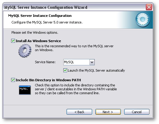 Check "Include Bin Directory in Windows PATH", and then click Next >